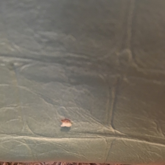 Steve Madden CarryOn - Picture 7 of 7